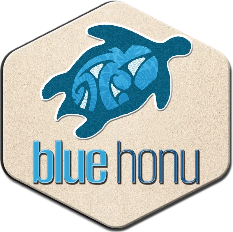 Blue Honu Design, based in Las Vegas, Nevada, is the go-to web design, development, and marketing firm for businesses seeking to make a lasting impact.