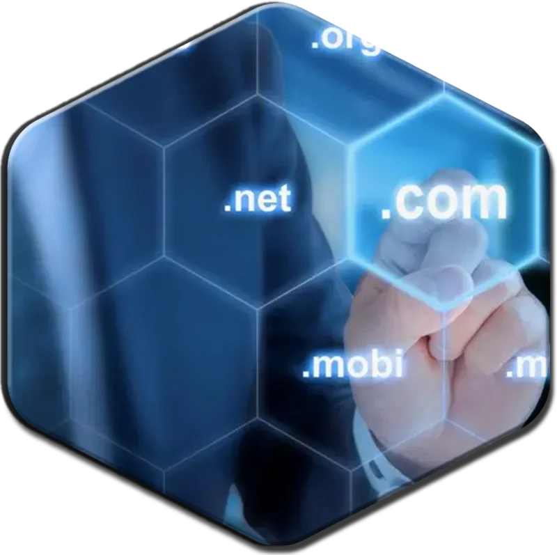 Blue Honu Design has been providing expert domain name registration services for over 25 years