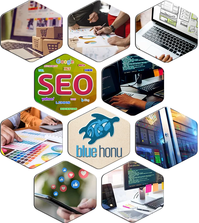 Website Design, ecommerce, social media, branding, logo design, web hosting, and digital marketing from Blue Honu Design. Located in Las Vegas, US