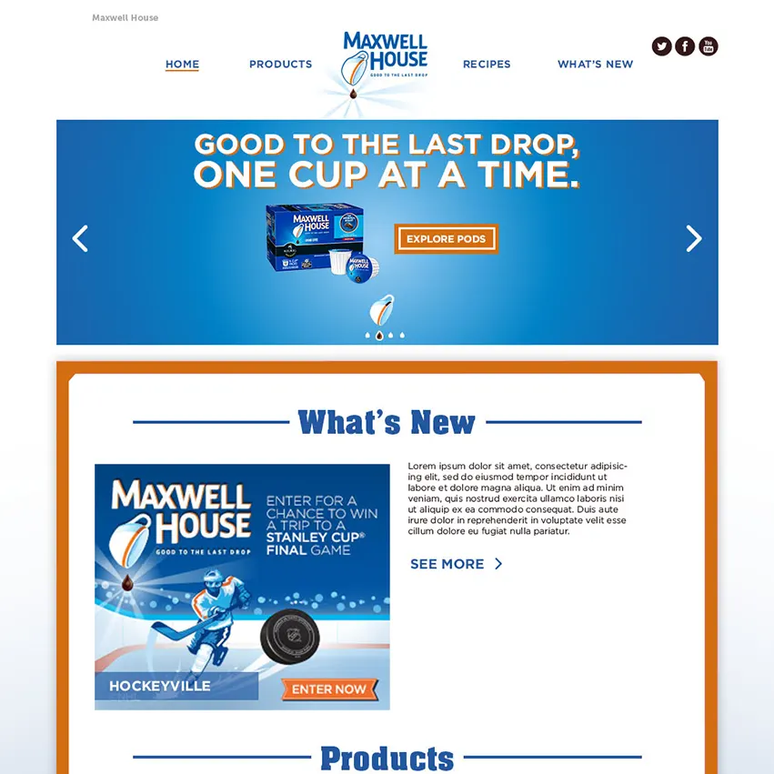 Fortune 500 Website Design by Blue Honu Design